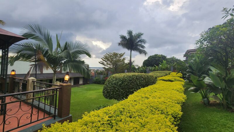 658136394_10162219829816176_1905242790108939995_n