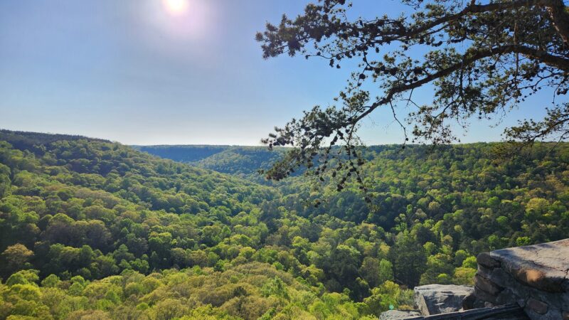 490151690_10160806304341176_3037636303156054102_n