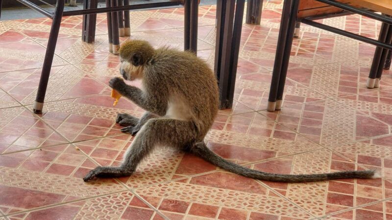 photo_2025-03-21 09.09.01